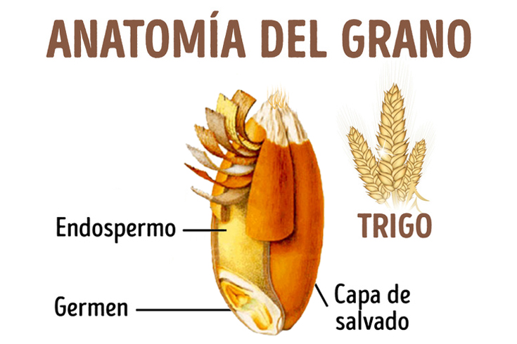 ir al grano