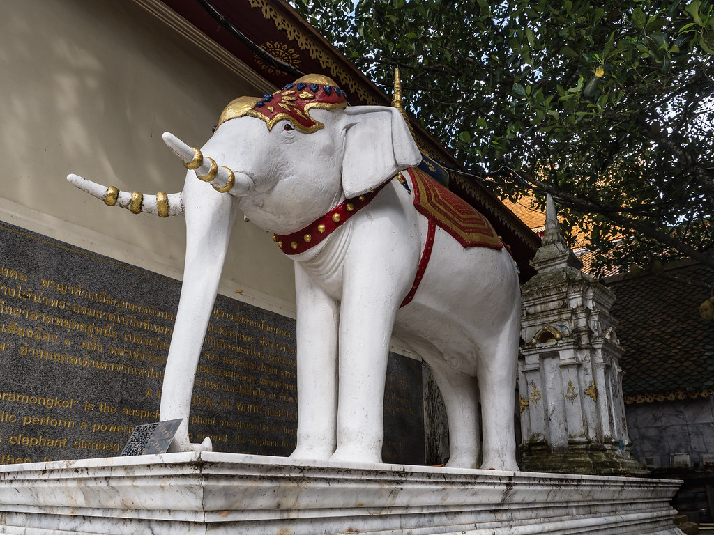 elefante blanco